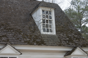 Moss on a tacoma house's roof