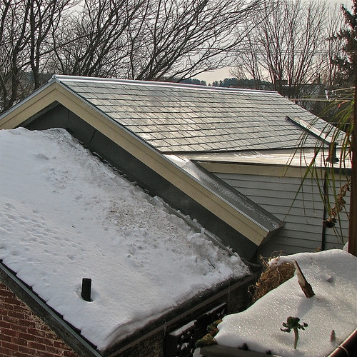 Snowy roof top 